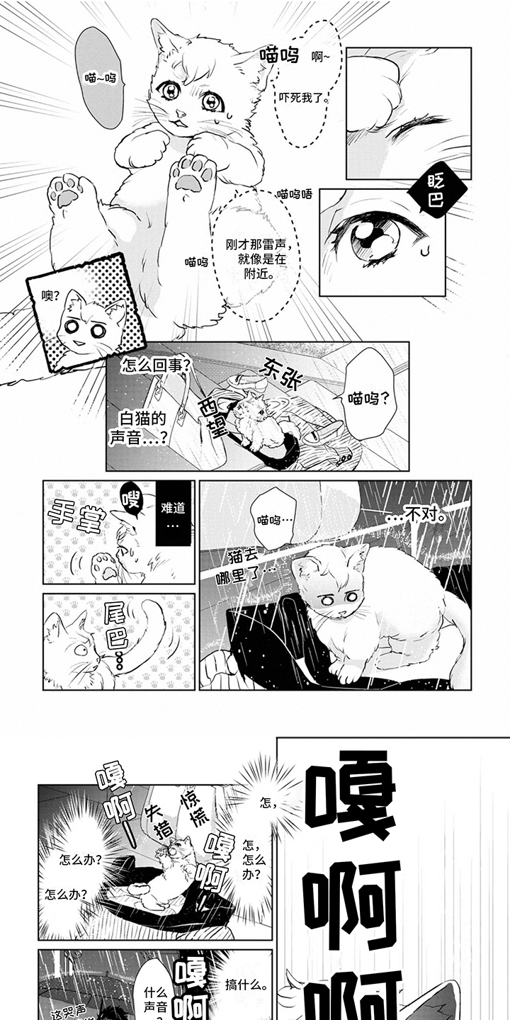 第2章：变身0