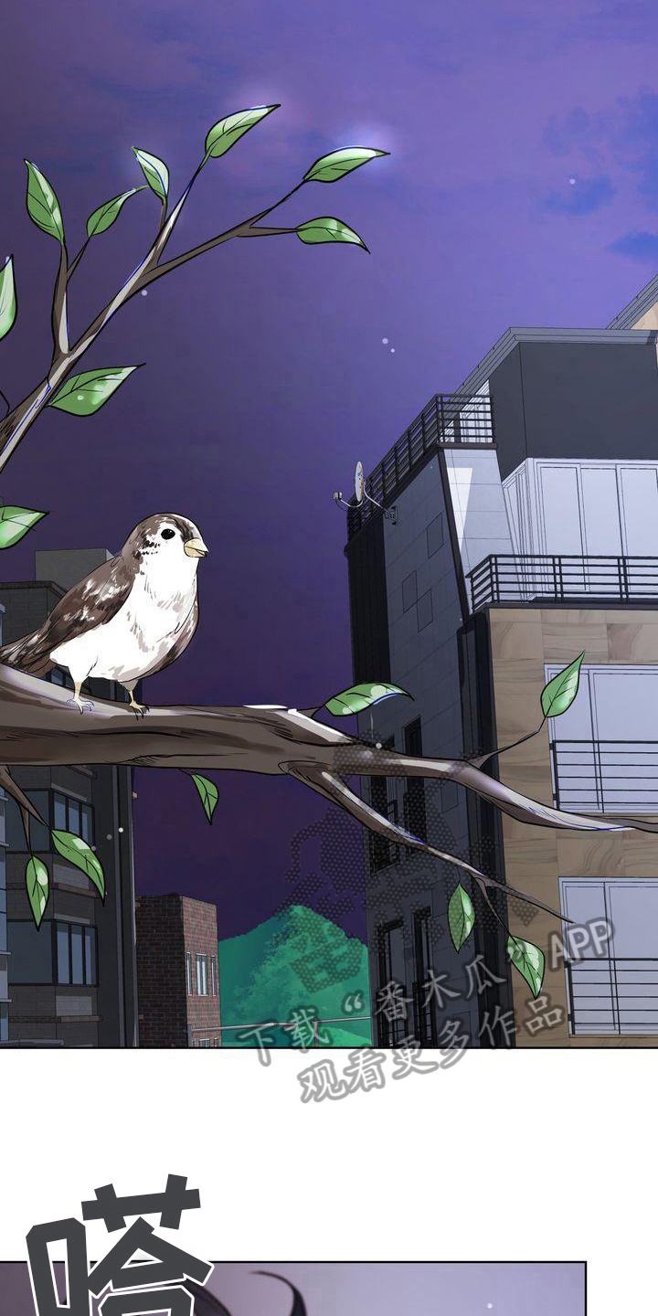 失忆后校草说喜欢我漫画,第15章：倾诉5图