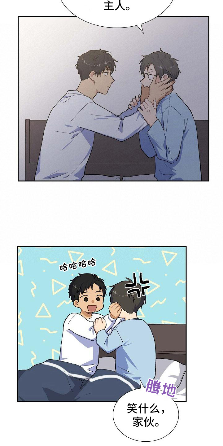 第25章：安排2