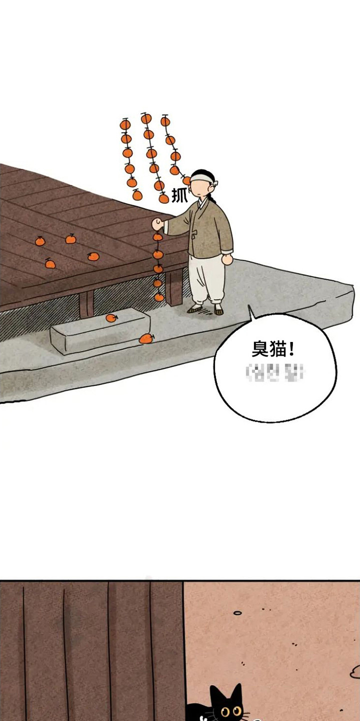 第29章：指责3