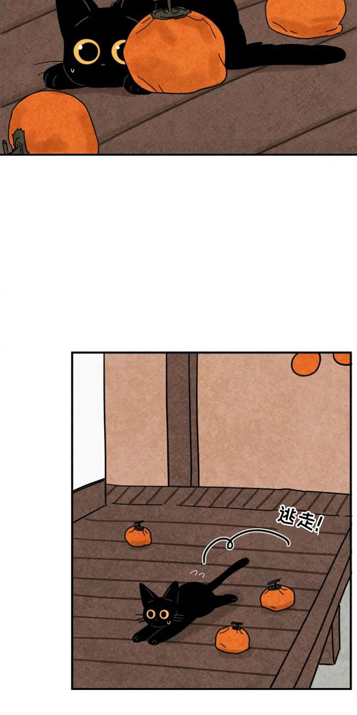 第29章：指责2