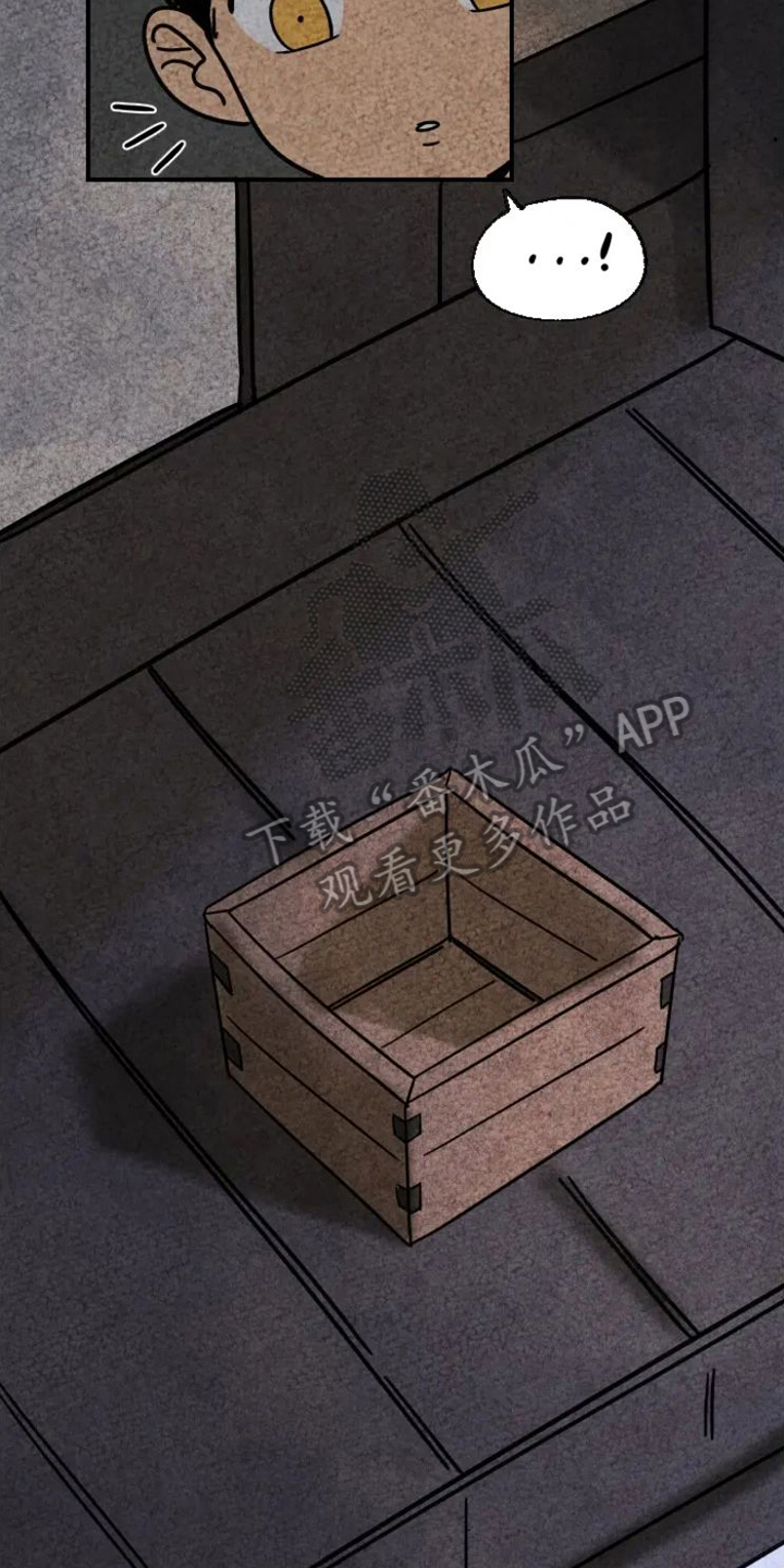 第14章：掉毛3