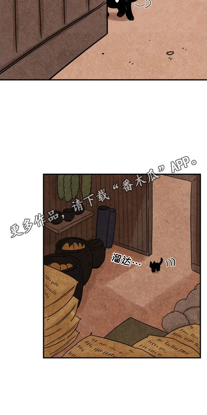 第29章：指责4
