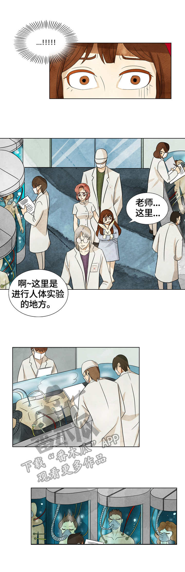 探险三山岛漫画,第38章：这里的秘密3图