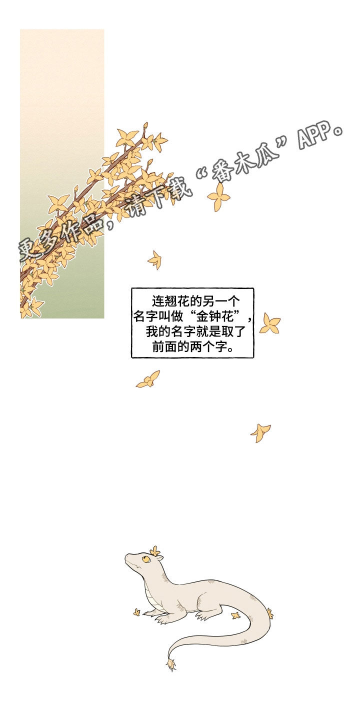 第60章：【番外】练习0