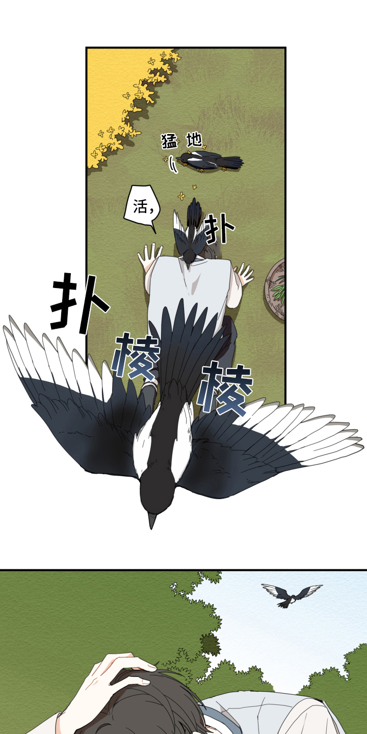 第2章：孵化0