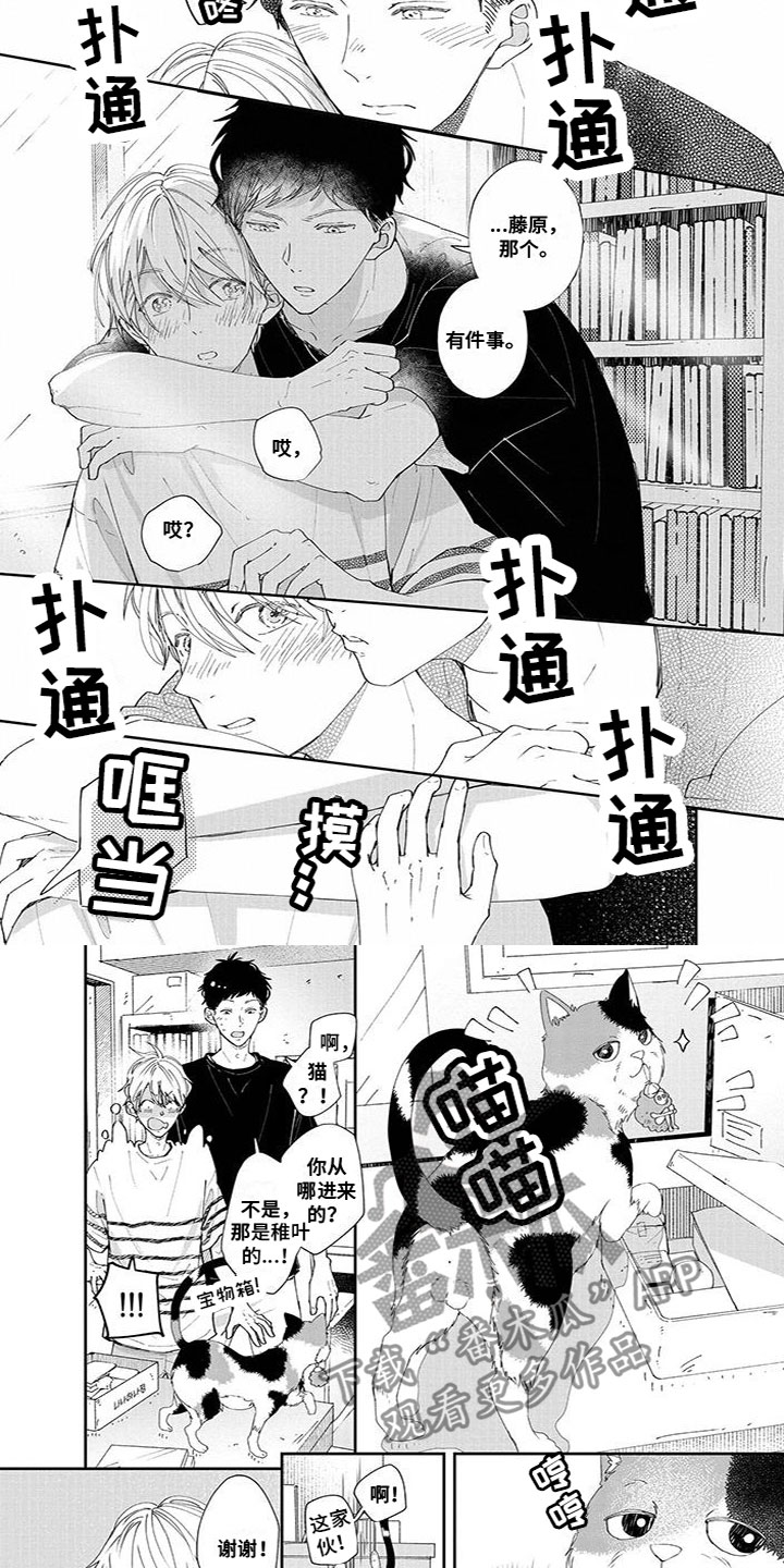 双向六车道漫画,第46章：宝物3图