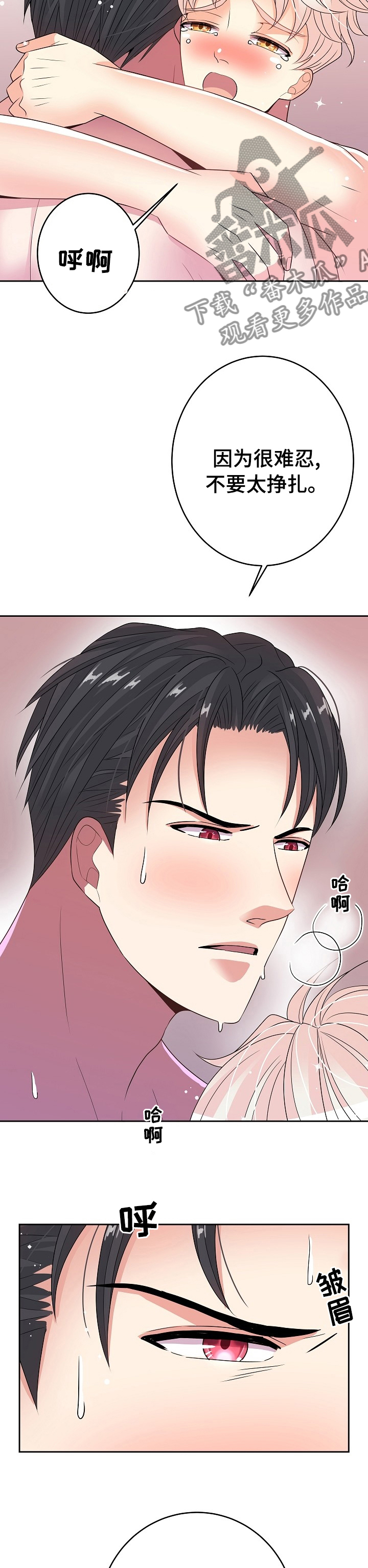 被恶魔保护的五大星座漫画,第70章：装吧你就4图