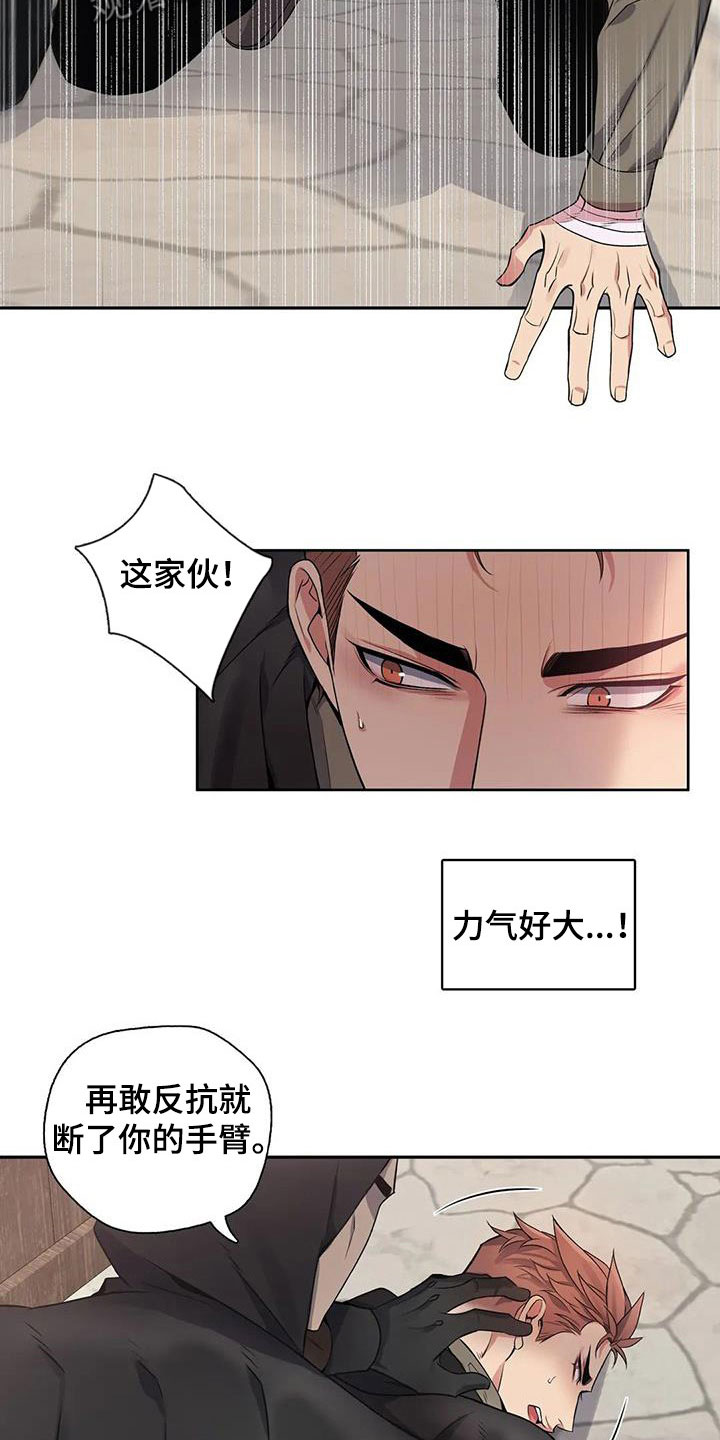 你是主人我是仆漫画,第135章：【第二季】举报3图