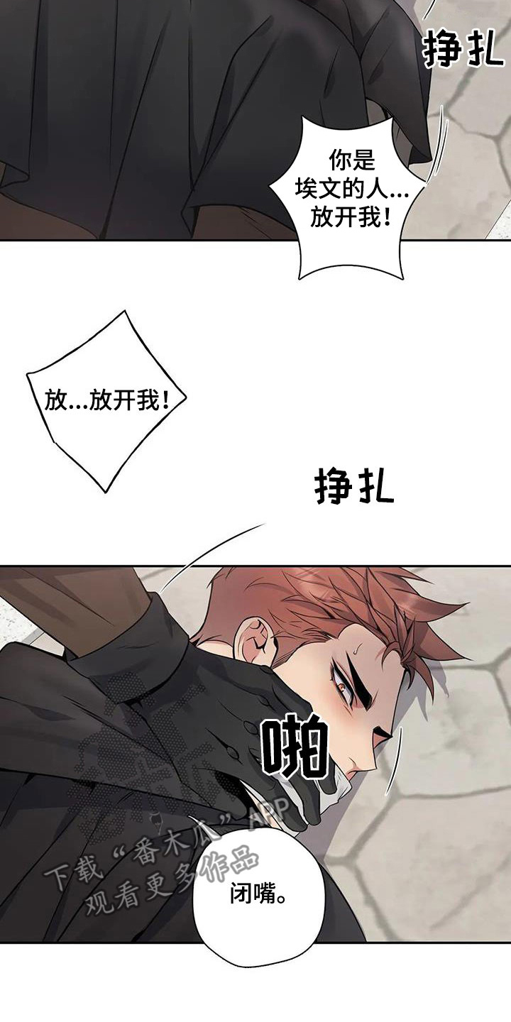 你是主人我是仆漫画,第135章：【第二季】举报4图