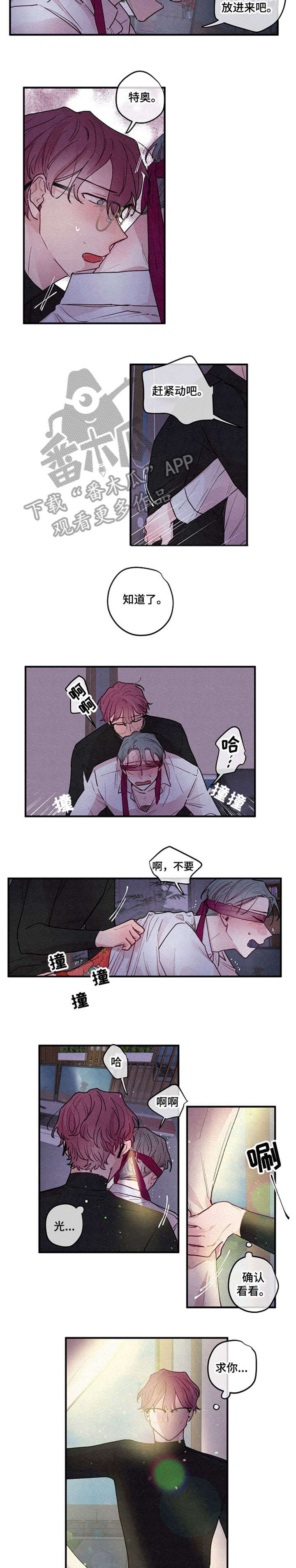 繁花盛开的夏天在哪个平台播出漫画,第12章：繁花2图