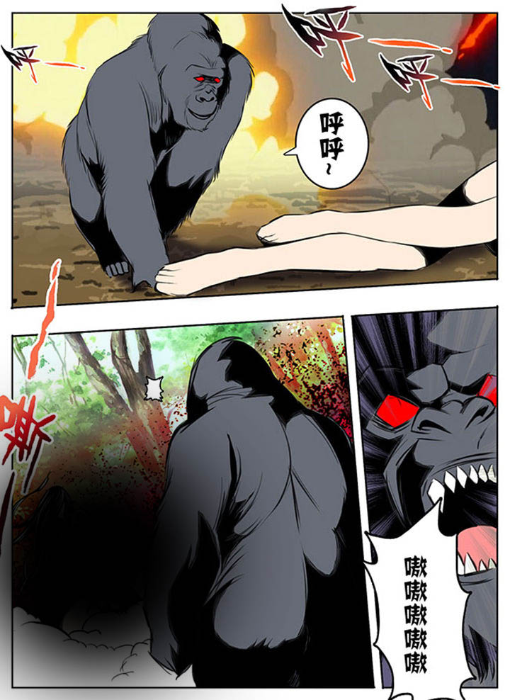 第40章：3