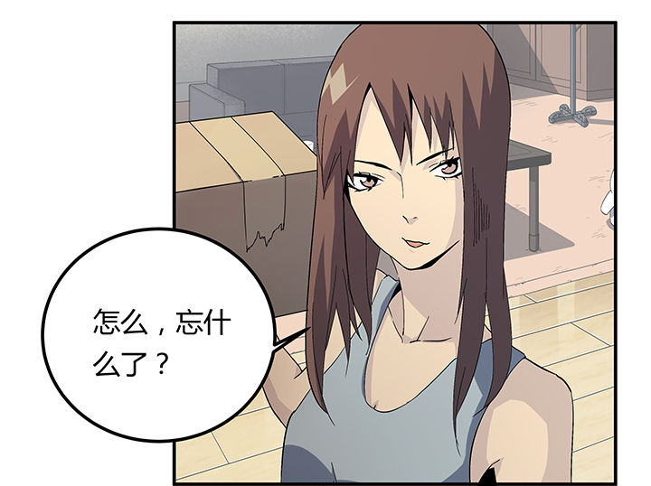 第19章：1