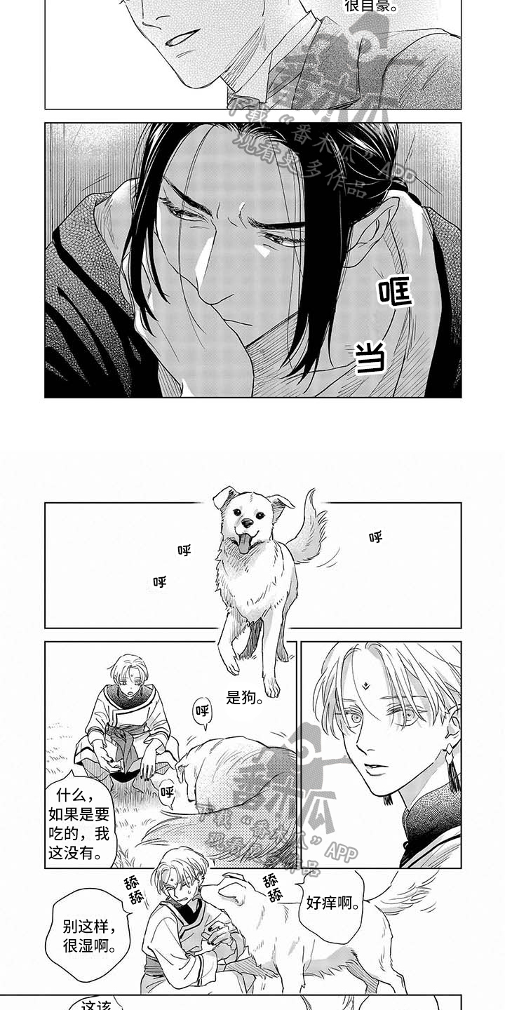 晨曦之星赤霞珠干红葡萄酒保质期漫画,第18章：自豪4图