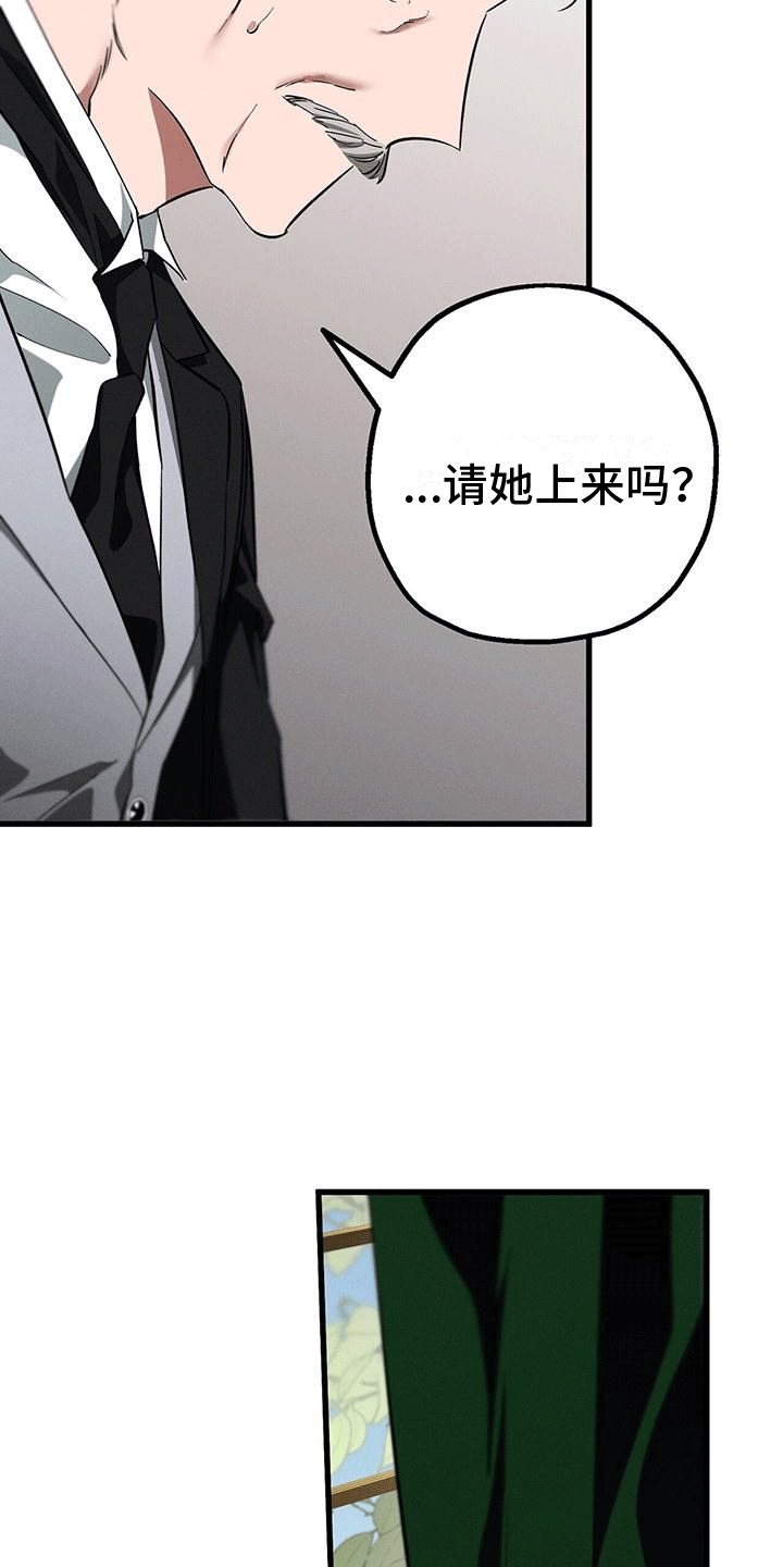 城堡里的野兽剧情解析漫画,第28章：庭院师3图