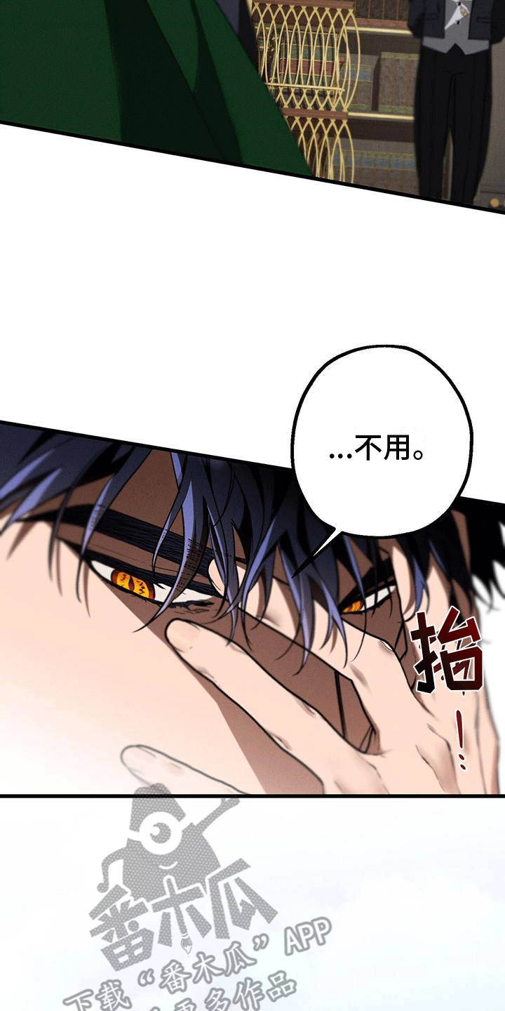 城堡里的野兽剧情解析漫画,第28章：庭院师5图