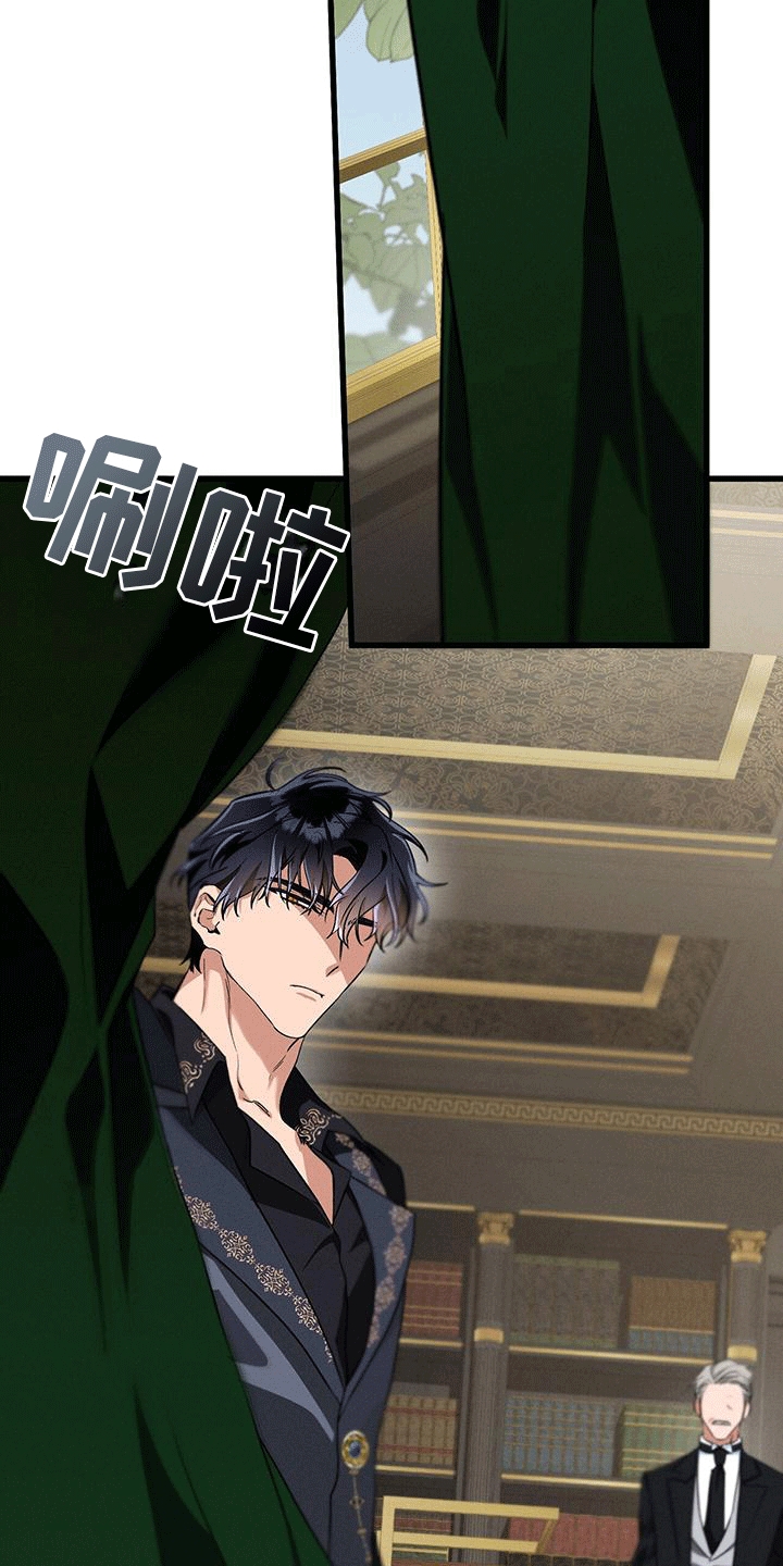 城堡里的野兽剧情解析漫画,第28章：庭院师4图