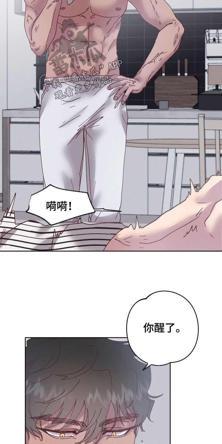 第20章：和他有关2