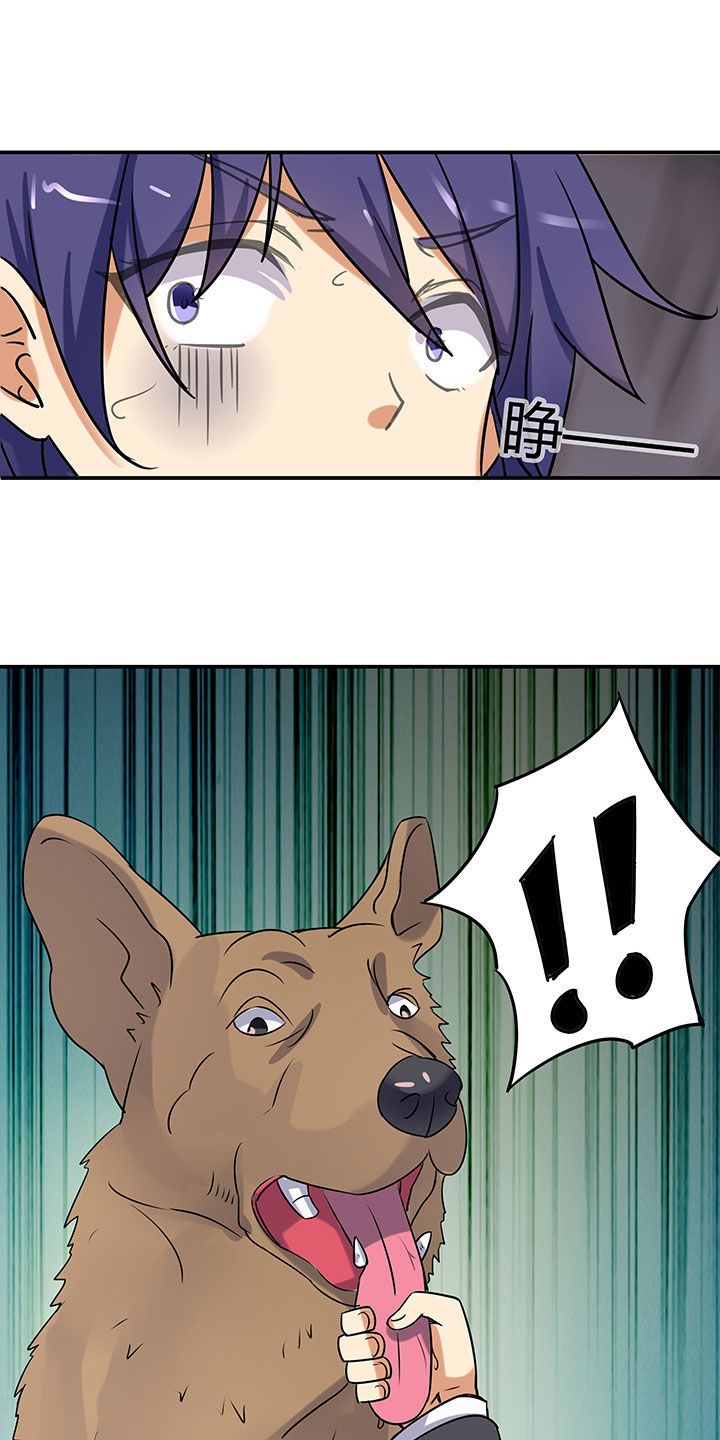 第66章：3