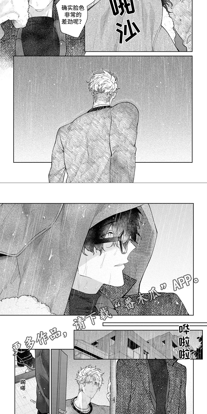 爱情方案格式模板范文漫画,第13章：表白2图
