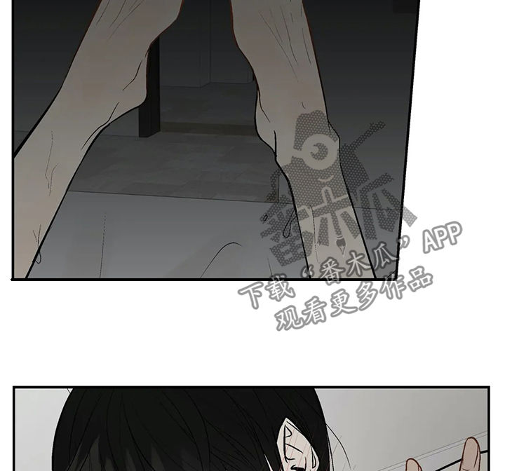 劣质的毛绒玩具怎会致白血病呢漫画,第92章：期待5图