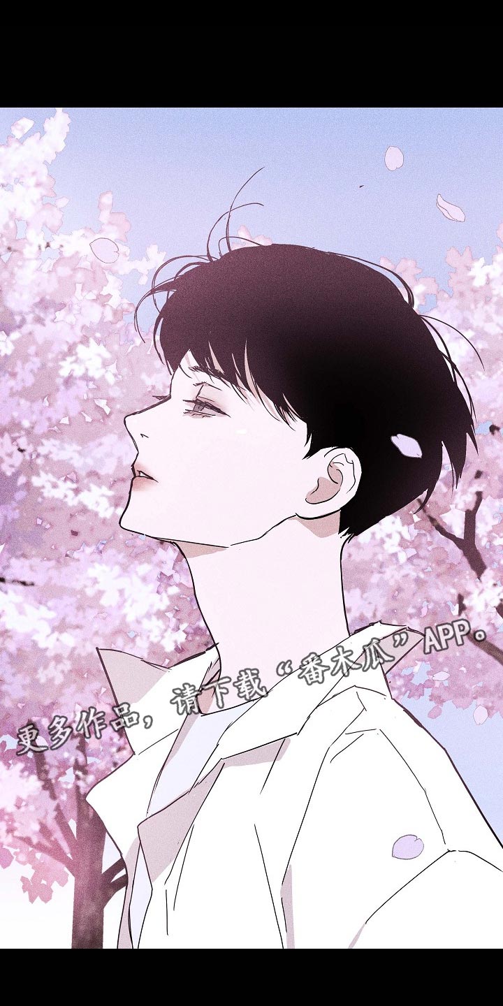 男人与男人结婚漫画,第82章：【第二季】谣言四起3图