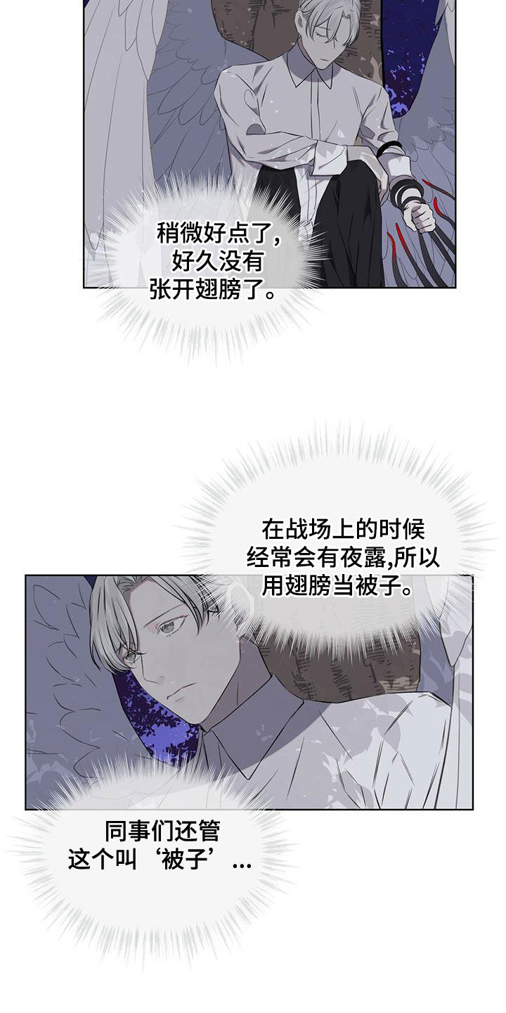 第35章：被子3
