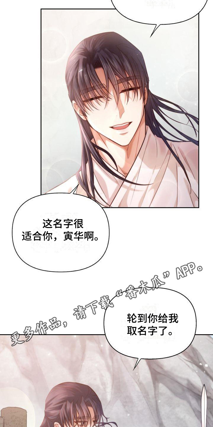 悬崖上的金鱼姬中文版漫画,第5章：取名5图