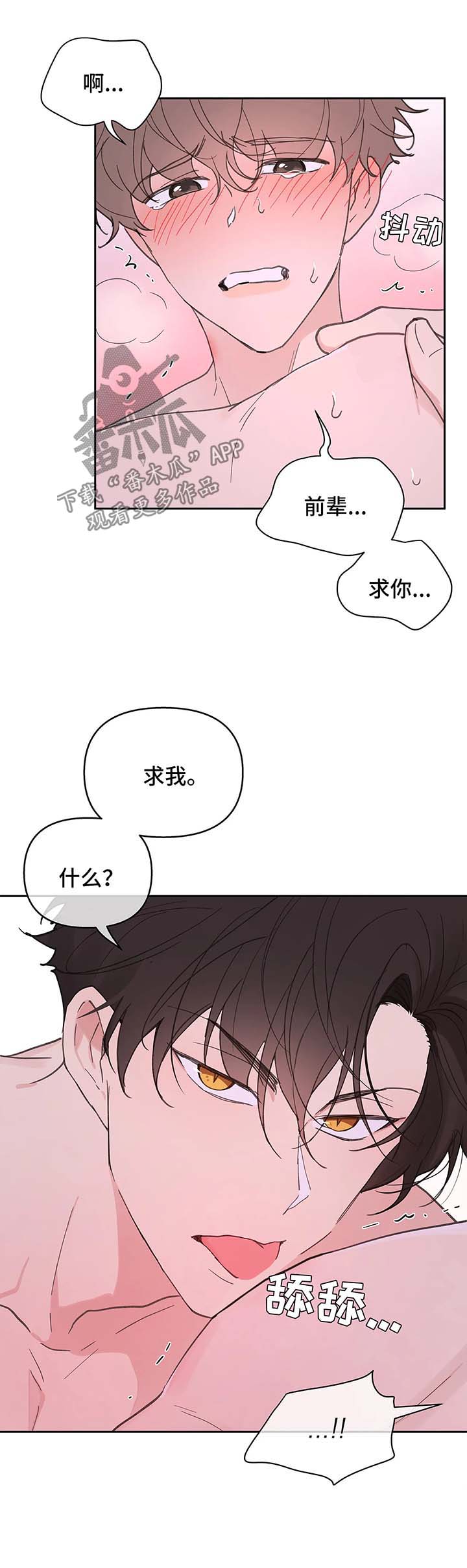 第53章：昏迷2
