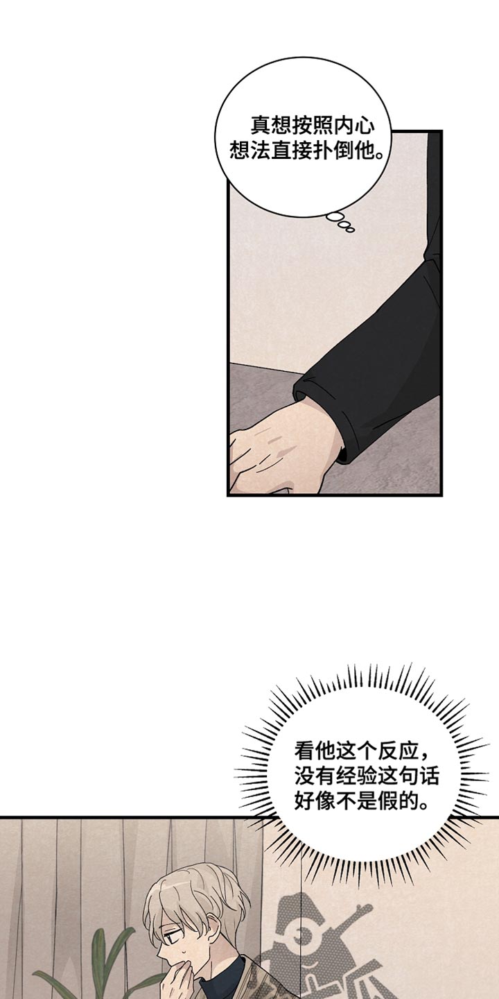 黎明前夕是什么意思漫画,第37章：如实回答1图