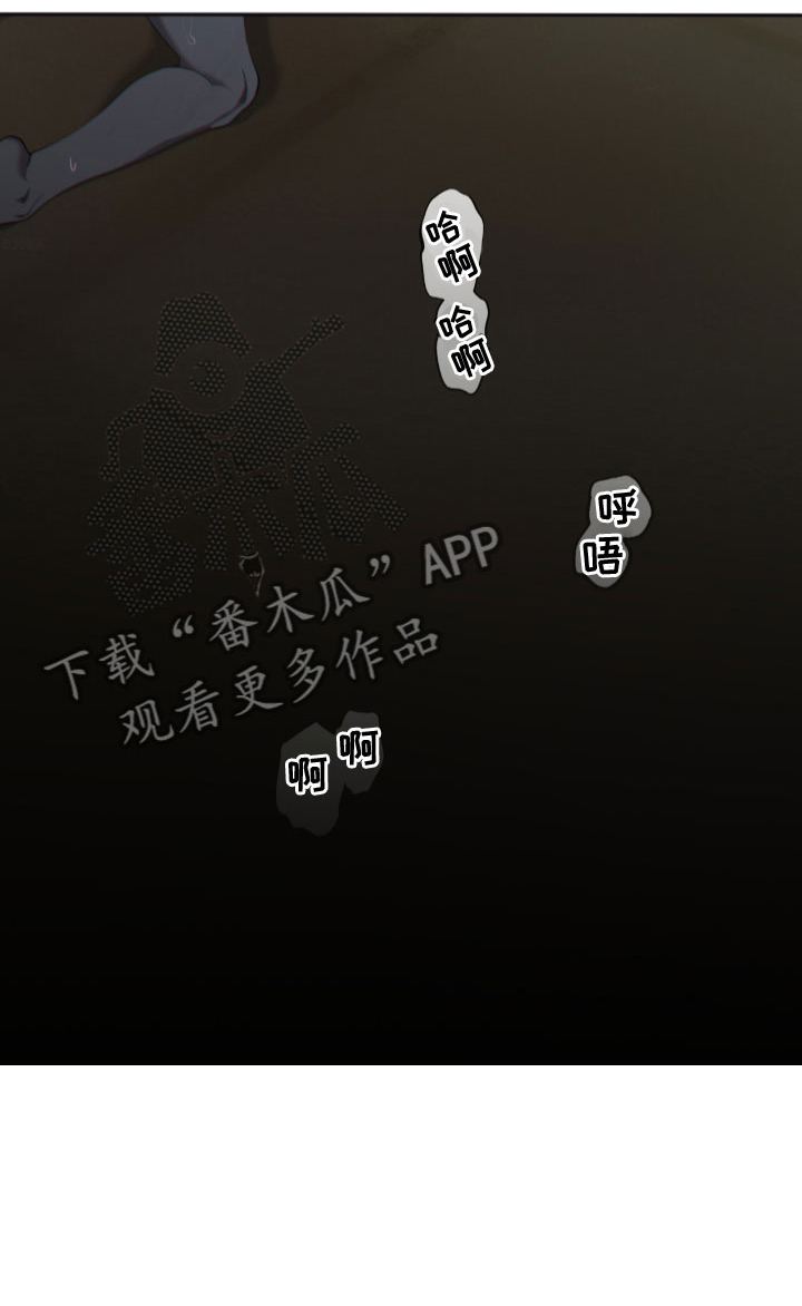 第6章：停下4