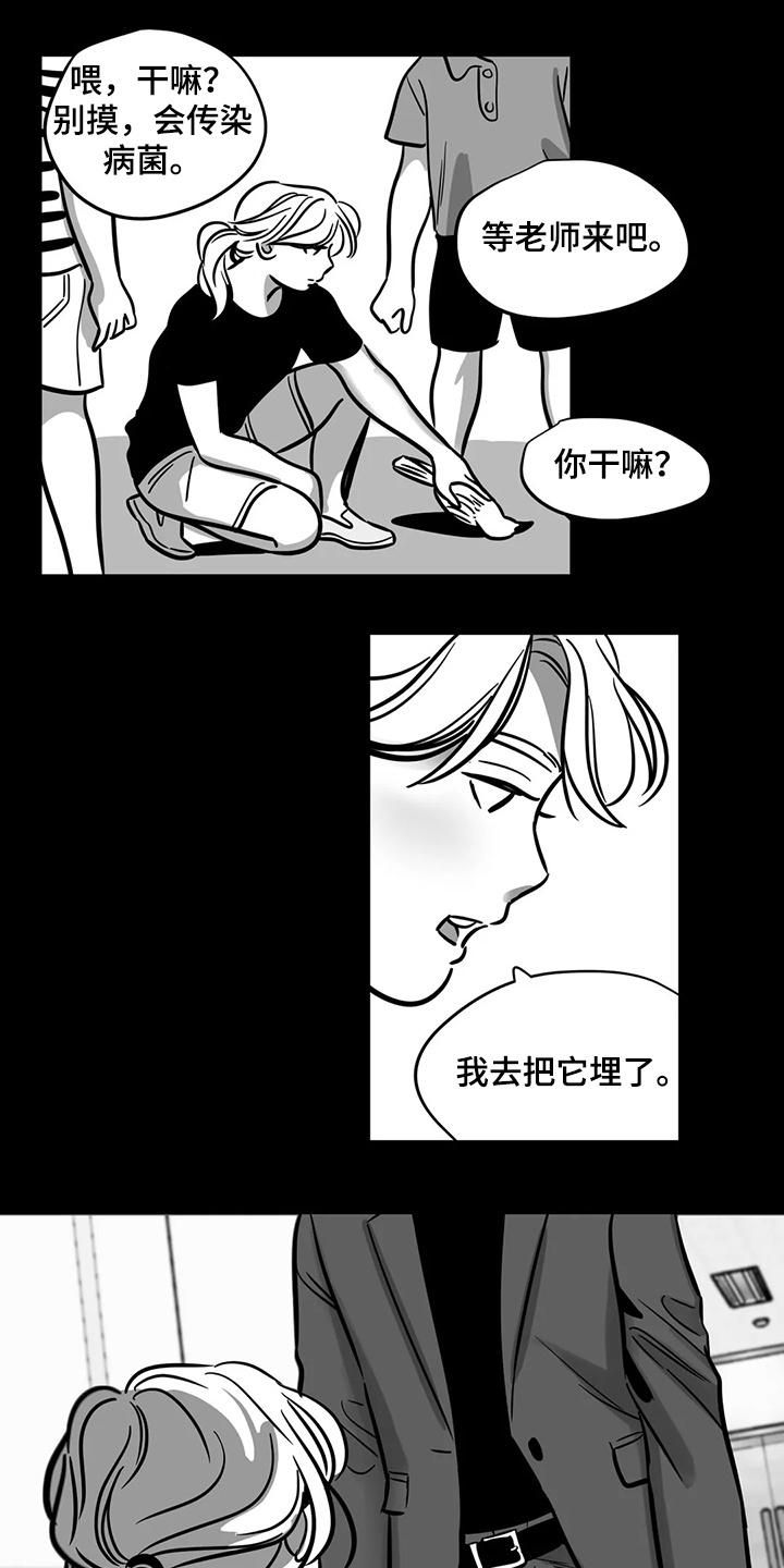第65章：【第二季】撞死的鸟2