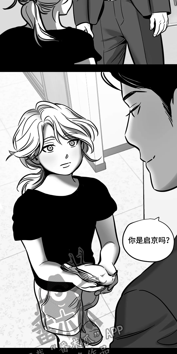第65章：【第二季】撞死的鸟3