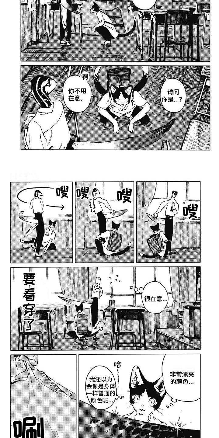 第3章：饶有兴趣1