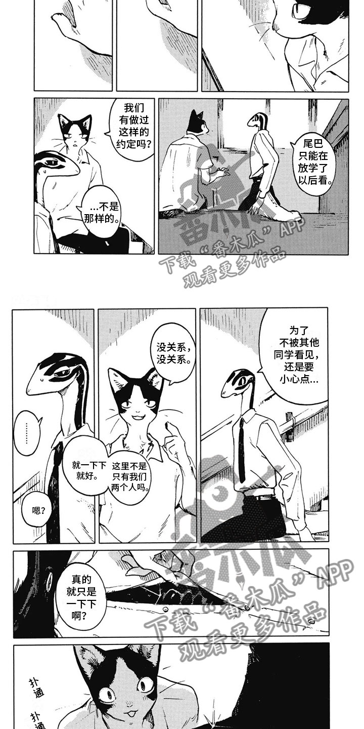 第11章：拒绝1