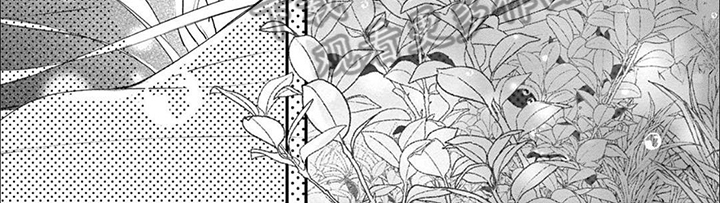 第16章：情不自禁3