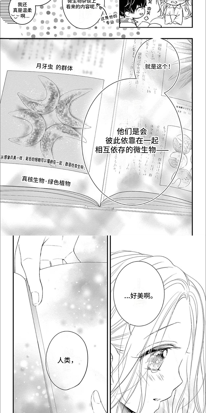第19章：月牙虫1