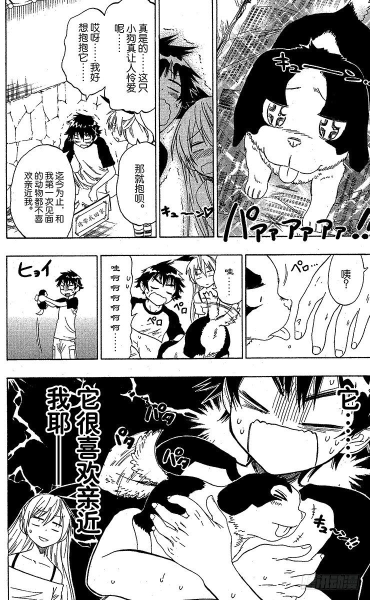 伪恋第一季在线观看完整版动漫漫画,第41话 流浪狗4图