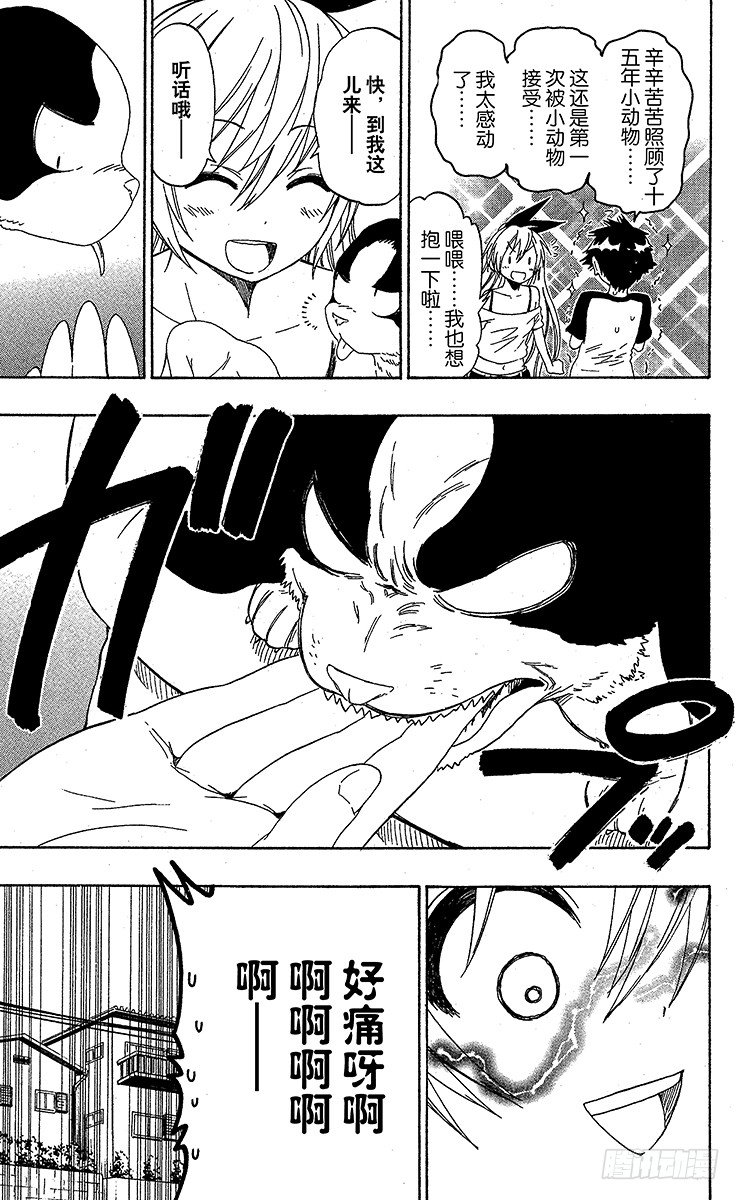 伪恋第一季在线观看完整版动漫漫画,第41话 流浪狗5图