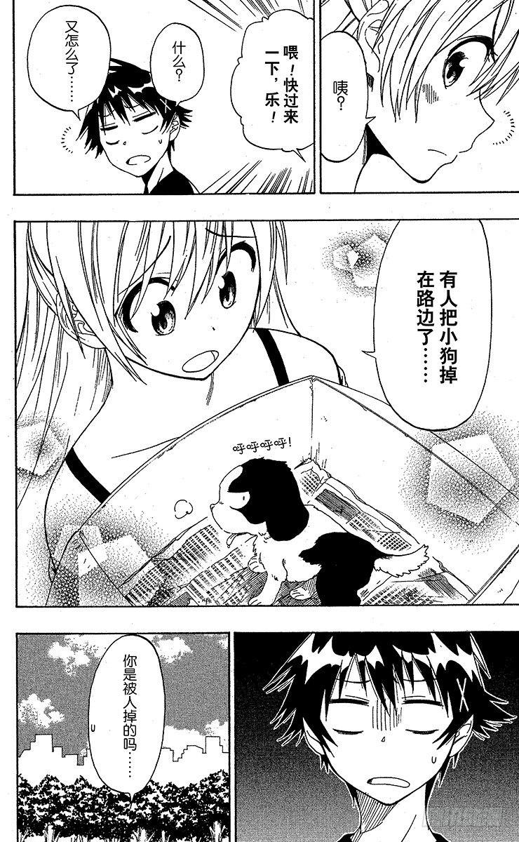 伪恋第一季在线观看完整版动漫漫画,第41话 流浪狗2图