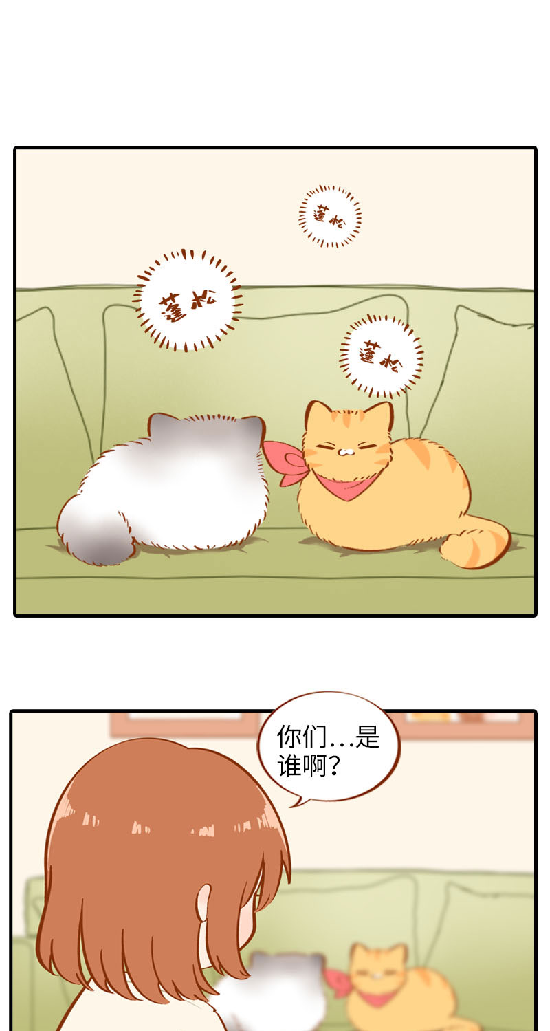 第16话 猫咪的冬季限定-爆毛1