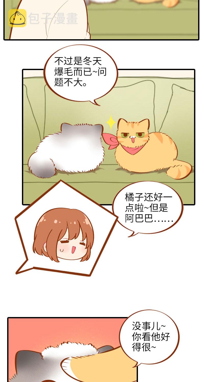 第16话 猫咪的冬季限定-爆毛2