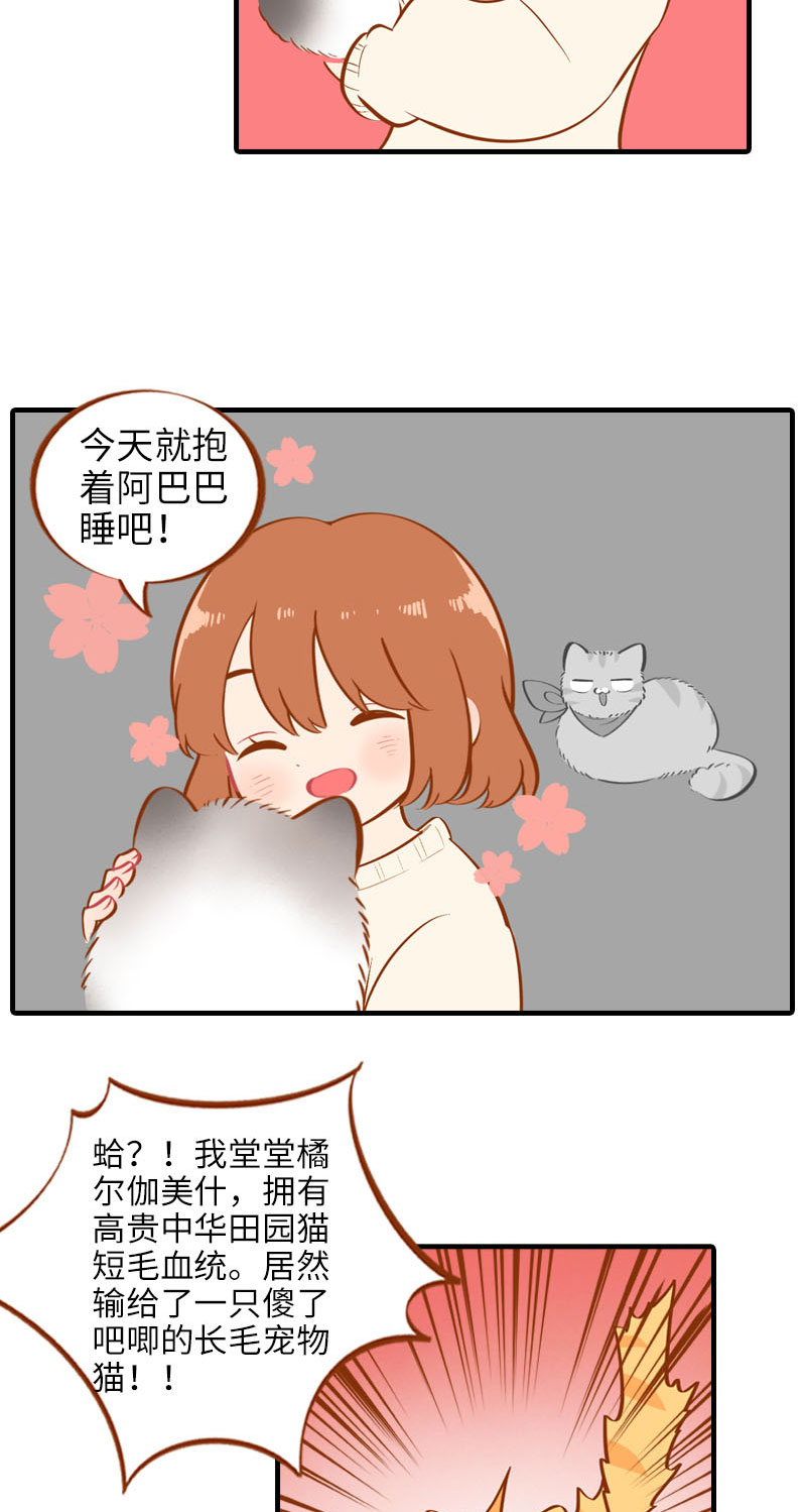 第16话 猫咪的冬季限定-爆毛4