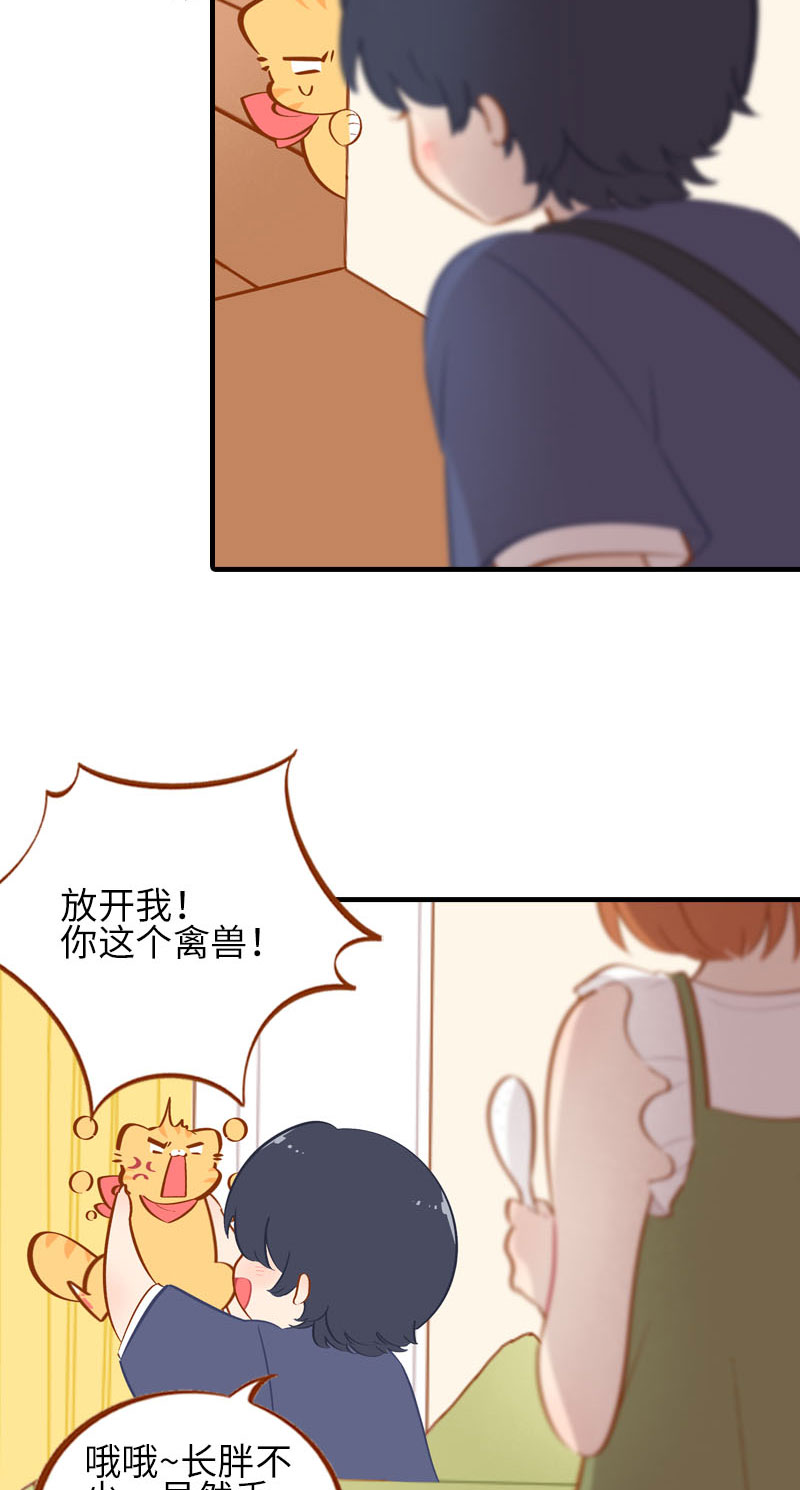 第41话 我失宠了我要离家出走！3