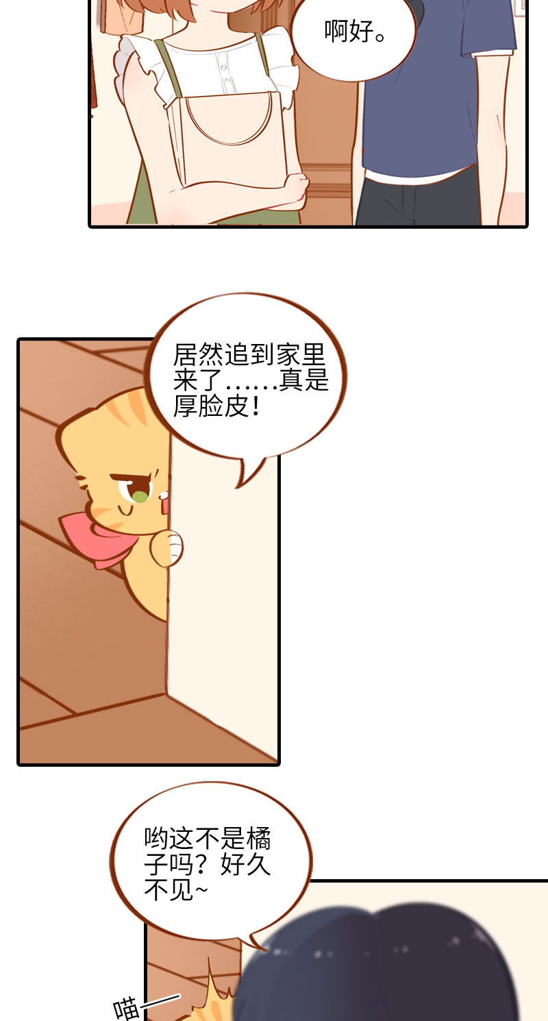 第41话 我失宠了我要离家出走！2