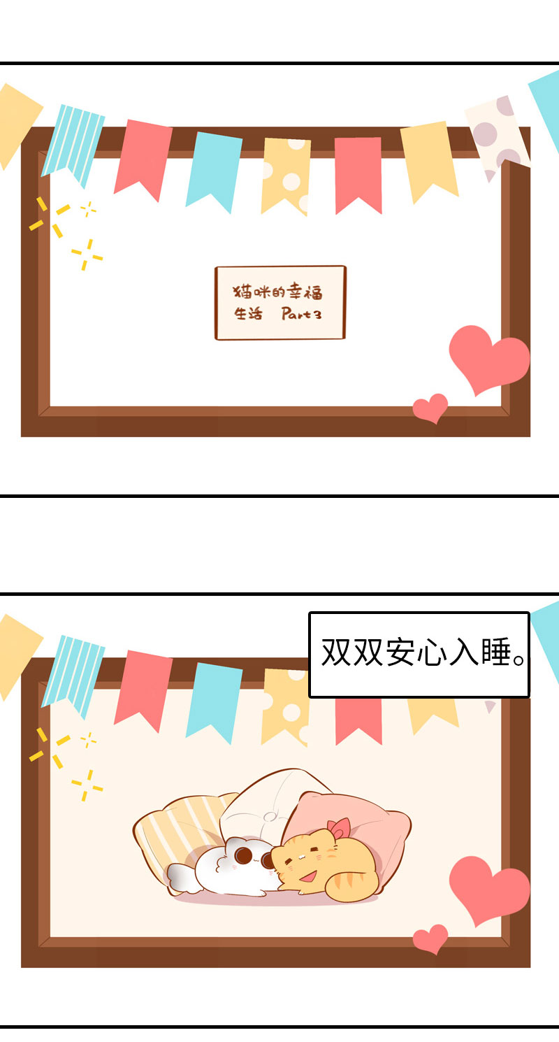 第44话 猫咪的幸福生活（现象中）3