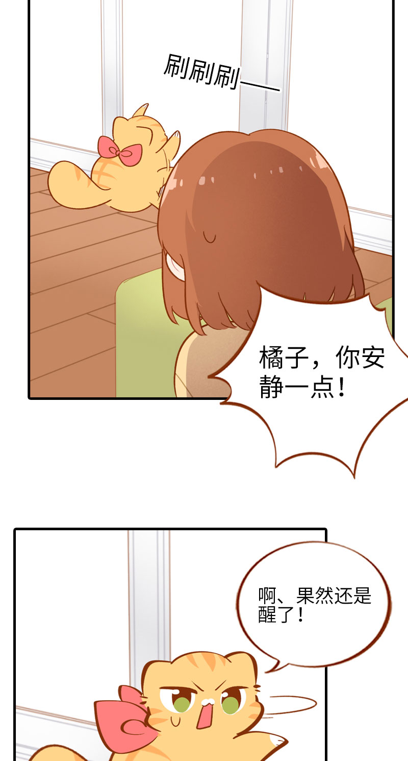 第43话 正道的光2