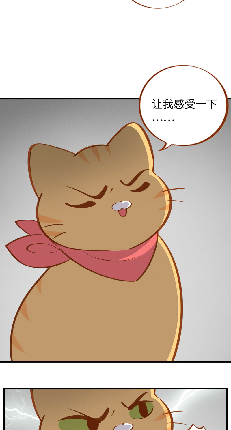 第10话 名侦探橘子2