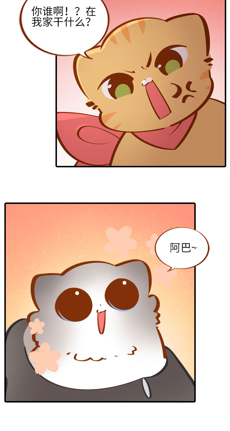 第36话 橘子！地位不保？！3