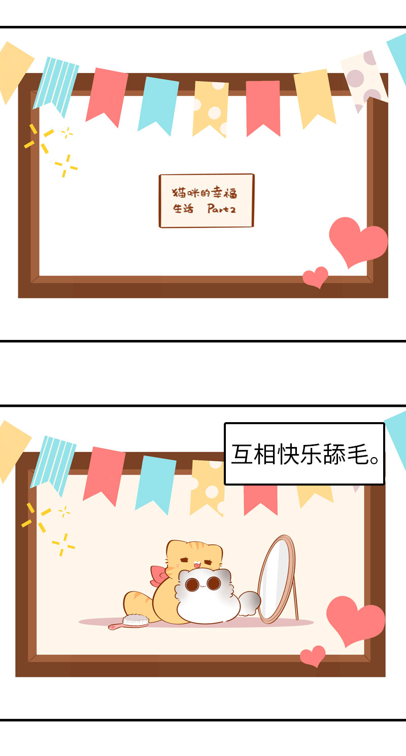 第44话 猫咪的幸福生活（现象中）2